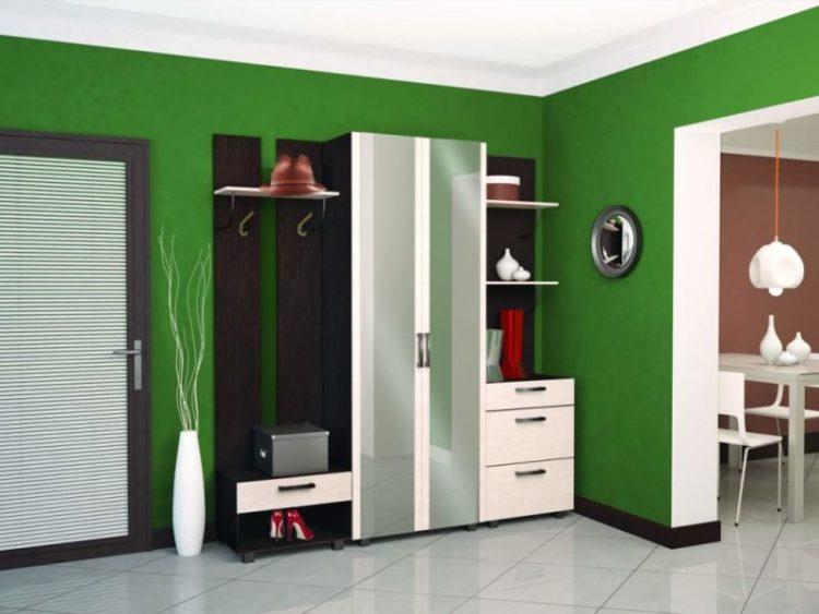 200 идей дизайна интерьера прихожей с фото ?