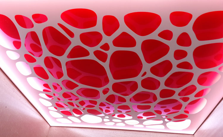 200 идей дизайна интерьера с потолками из гипсокартона с фото ?