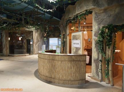 Аквапарк дрім таун київ