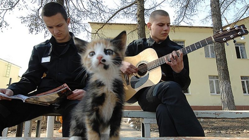 АУЕ: розшифровка — що означає, як перекладається? Що означає АУЕ: дворовий фольклор або небезпечне молодіжний рух?