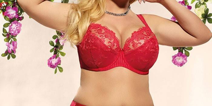 Бюстгальтери великих розмірів — особливості, популярні моделі, провідні виробники і ціни