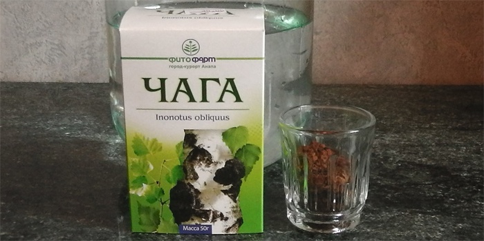 Чага при онкології: застосування березового гриба для лікування пухлин