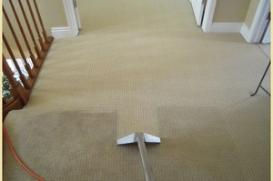 Чем и как правильно почистить ковролин в домашних условиях?