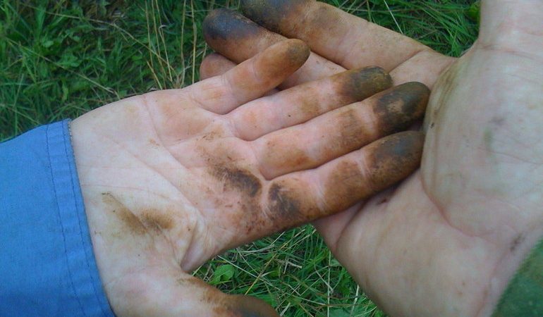 Чем можно отмыть руки после грибов маслят