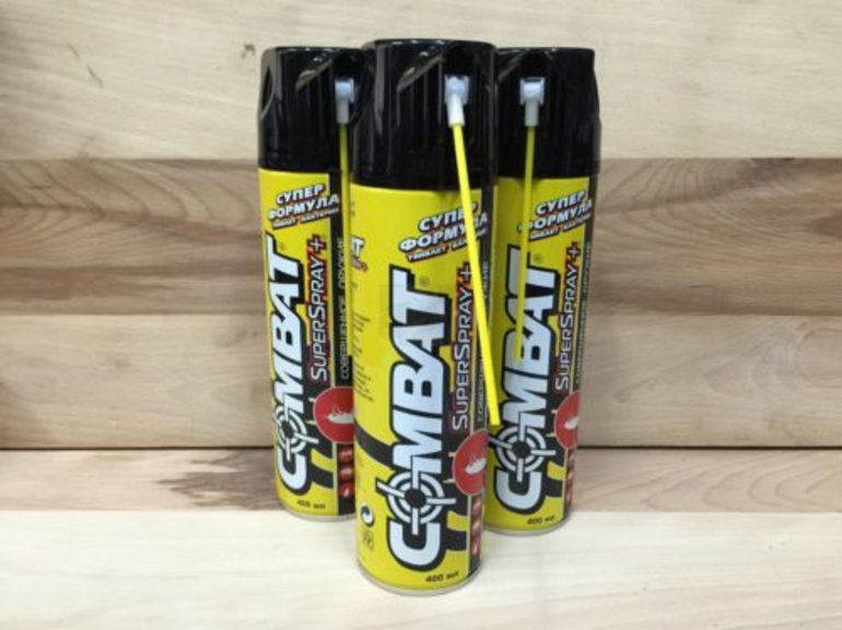 Чем опасна для людей мухоловка и как избавиться от насекомого Чем опасна для людей мухоловка и как избавиться от насекомого