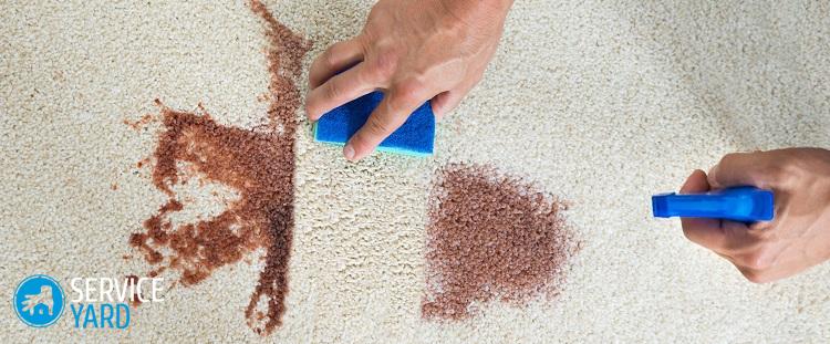 Чем отмыть гуашь с ковра?