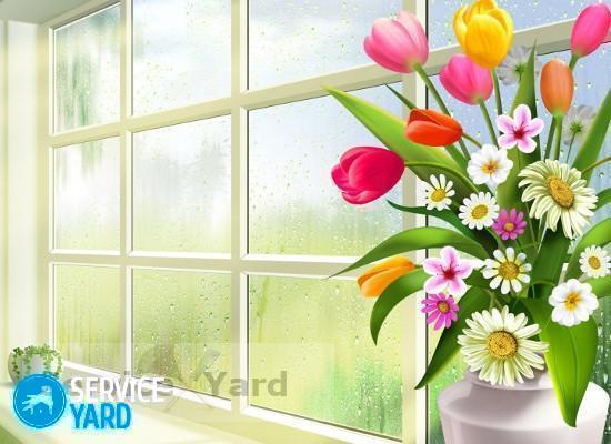 Чем отмыть пластиковые окна