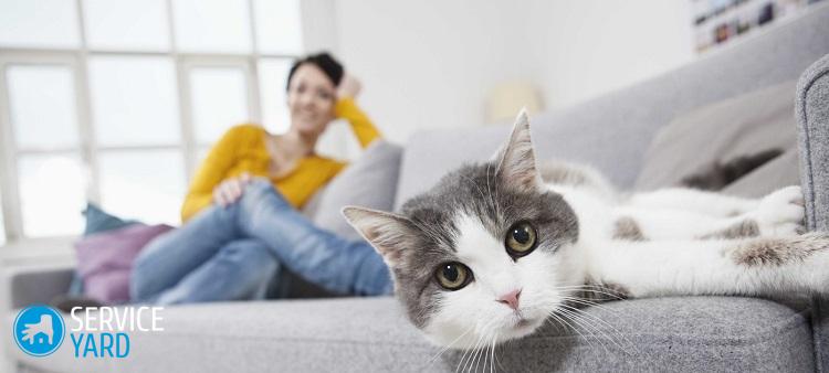 Чем оттереть фломастер с дивана?