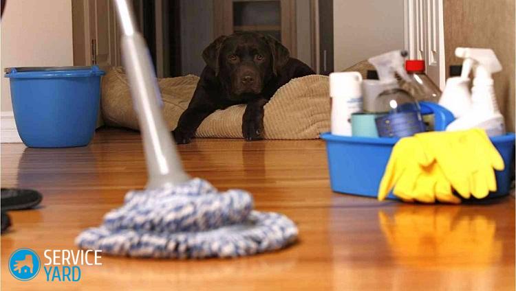 Чем оттереть скотч от линолеума?