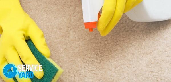 Чем почистить палас в домашних условиях от грязи и запаха?