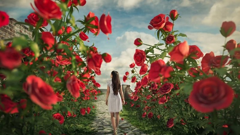 Червень — який знак зодіаку? 21 — 22 червня який знак зодіаку: Близнюк або Рак?