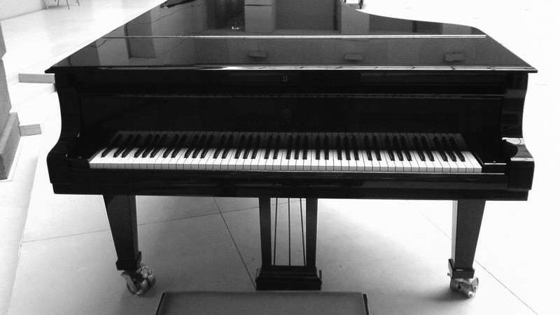 Чим відрізняється піаніно від фортепіано і рояля: порівняння. Як виглядає рояль, піаніно та фортепіано: фото