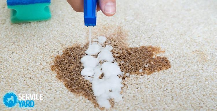 Чистка ковров Ванишем в домашних условиях