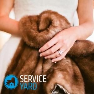 Чистка меха от желтизны в домашних условиях