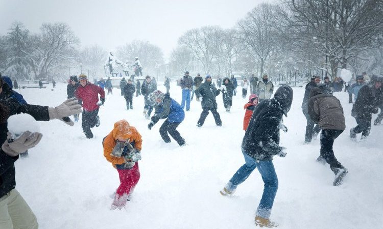 Чоловічі зимові головні убори – керівництво по вибору зимових шапок