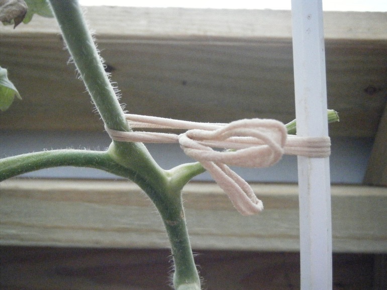 Что можно сделать из капроновых колготок: советы рукодельницам