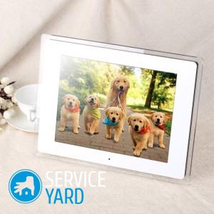 Цифровые фоторамки — как выбрать?