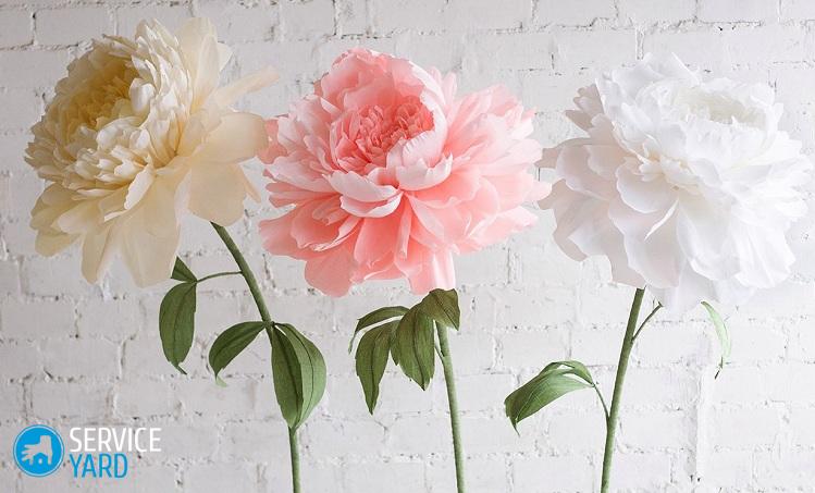 Цветы из бумаги на стену