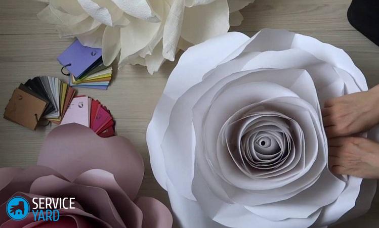 Цветы из бумаги на стену