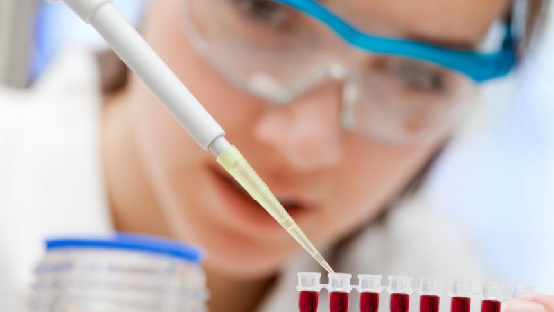 Дієта по групі крові: принципи дієти. Раціон на тиждень