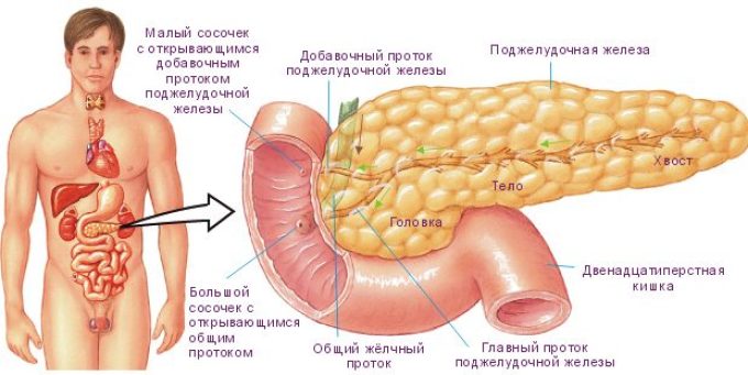 Дієта при панкреатиті підшлункової залози: приблизне меню, дозволені продукти, рецепти. Дієта при гострому панкреатиті підшлункової залози