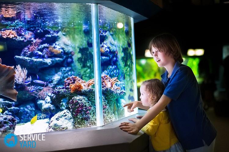 Декоративная подсветка аквариума идеи