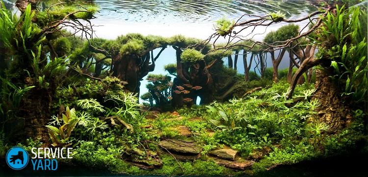 Декоративная подсветка аквариума идеи