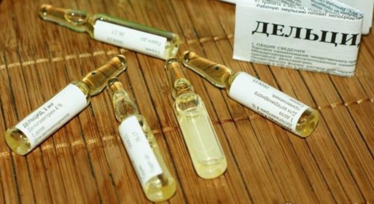 Дельцид: инструкция по применению для собак и кошек Дельцид: инструкция по применению для собак и кошек