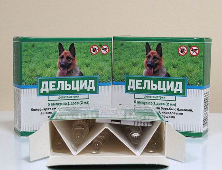 Дельцид: инструкция по применению, обработка животных и квартиры