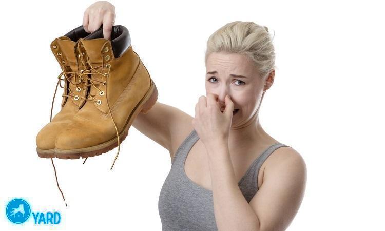 Дезодорант для обуви от запаха который мешает вам комфортно жить