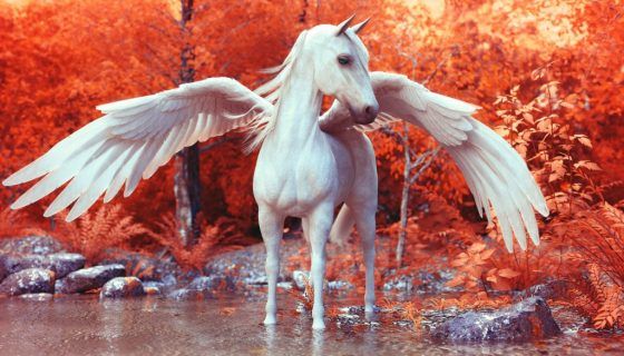 До чого сниться кінь: можливі ситуації, тлумачення До чого сниться кінь: можливі ситуації, тлумачення