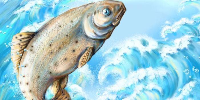 До чого сниться риба жінці: тлумачення снів