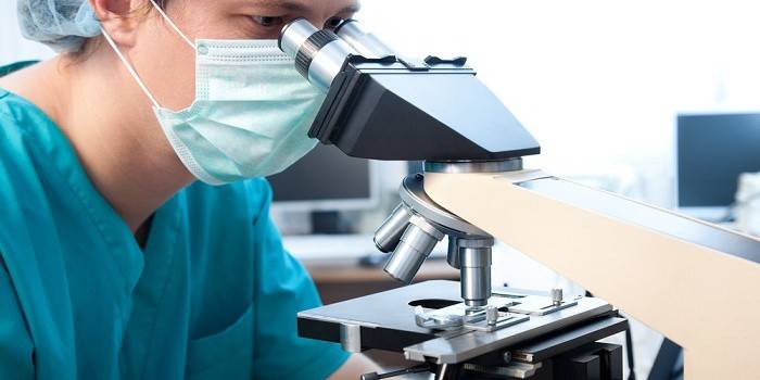 Дріжджові гриби в кале