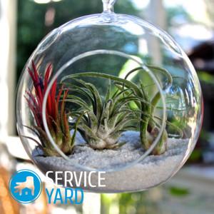 Флорариум из стекла своими руками