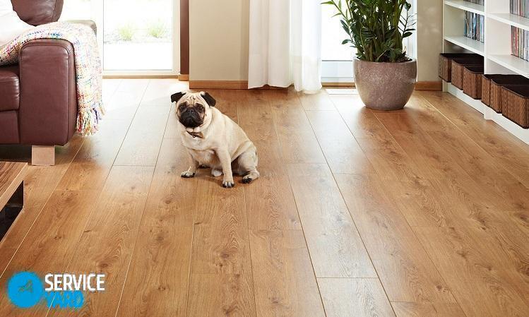 Герметик для ламината — какой лучше?