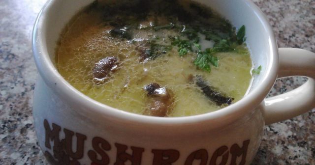 Гриб моховик: як готувати, синіють на зрізі, скільки варити, жовтіє вода Гриб моховик: як готувати, синіють на зрізі, скільки варити, жовтіє вода