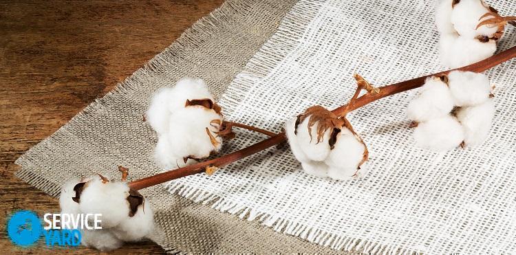 Хлопок эко. Все подробности и тонкости материала