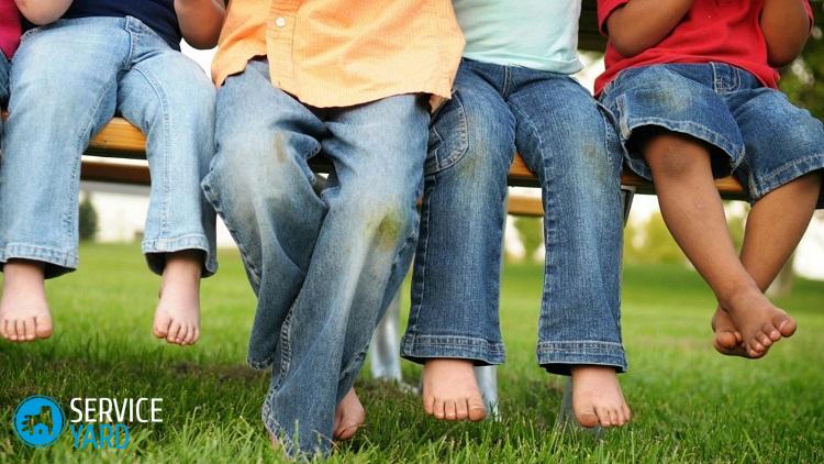 Хорошие и недорогие аналоги Ваниша