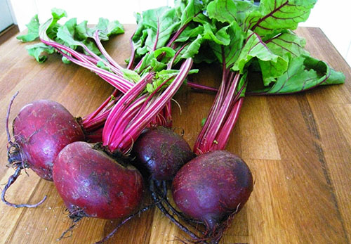 Хвороби буряків і боротьба з ними: фото і опису