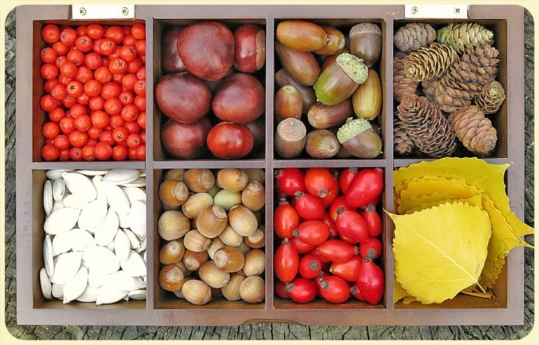 Идеи детских поделок из природных материалов своими руками