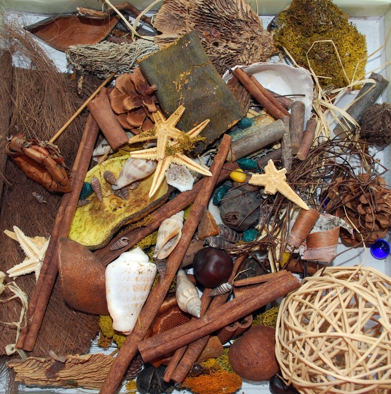 Идеи детских поделок из природных материалов своими руками