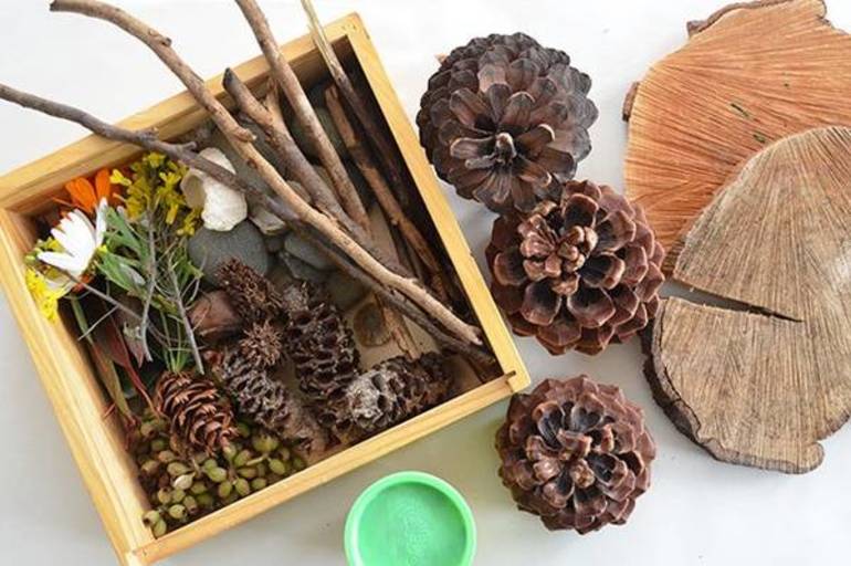 Идеи детских поделок из природных материалов своими руками