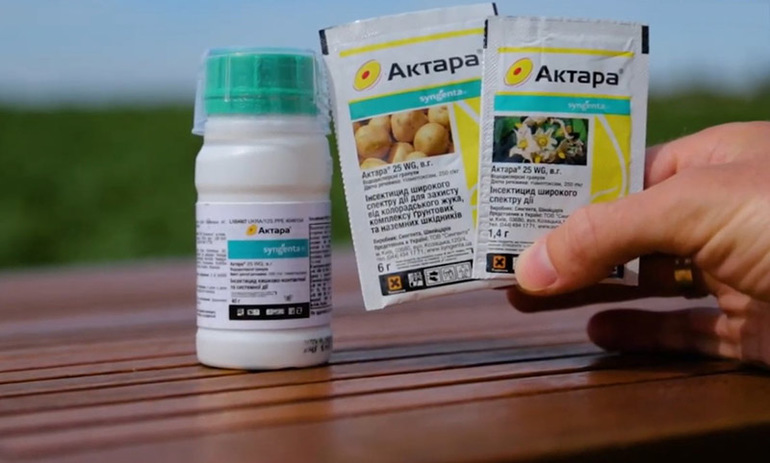 Как бороться с шершнями под крышей дома и в сарае Как бороться с шершнями под крышей дома и в сарае