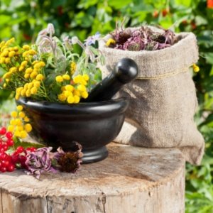 Как быстро высушить траву?