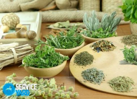 Как быстро высушить траву?