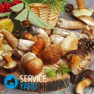 Как чистить маслята?