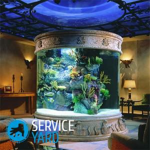 Как чистить стекла в аквариуме?