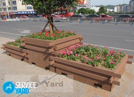 Как избавиться от муравьев в цветочном горшке?