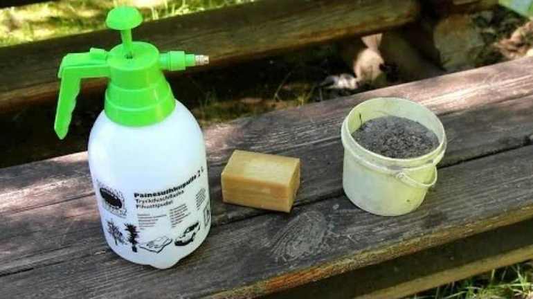 Как избавиться от ос на балконе: способы убрать осиное гнездо Как избавиться от ос на балконе: способы убрать осиное гнездо