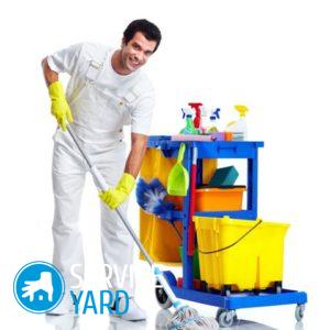 Как избавиться от плесени в квартире на стенах в домашних условиях?